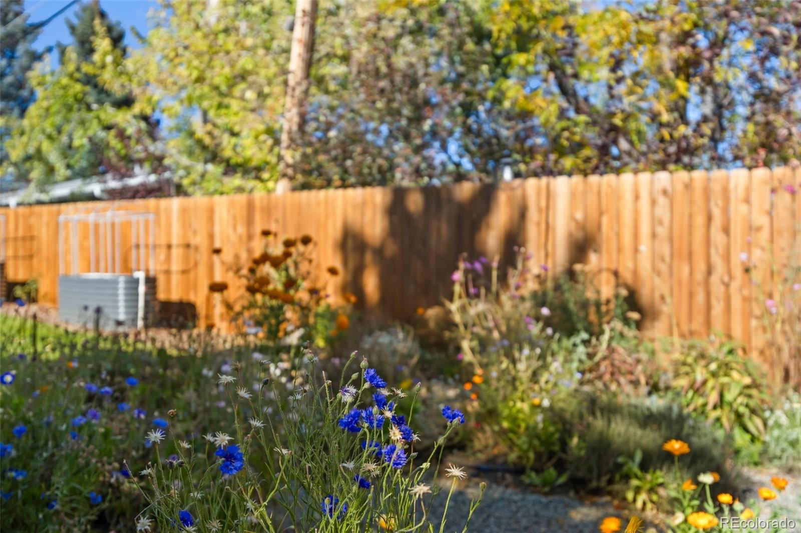 MLS Image #39 for 6022 w alder avenue,littleton, Colorado