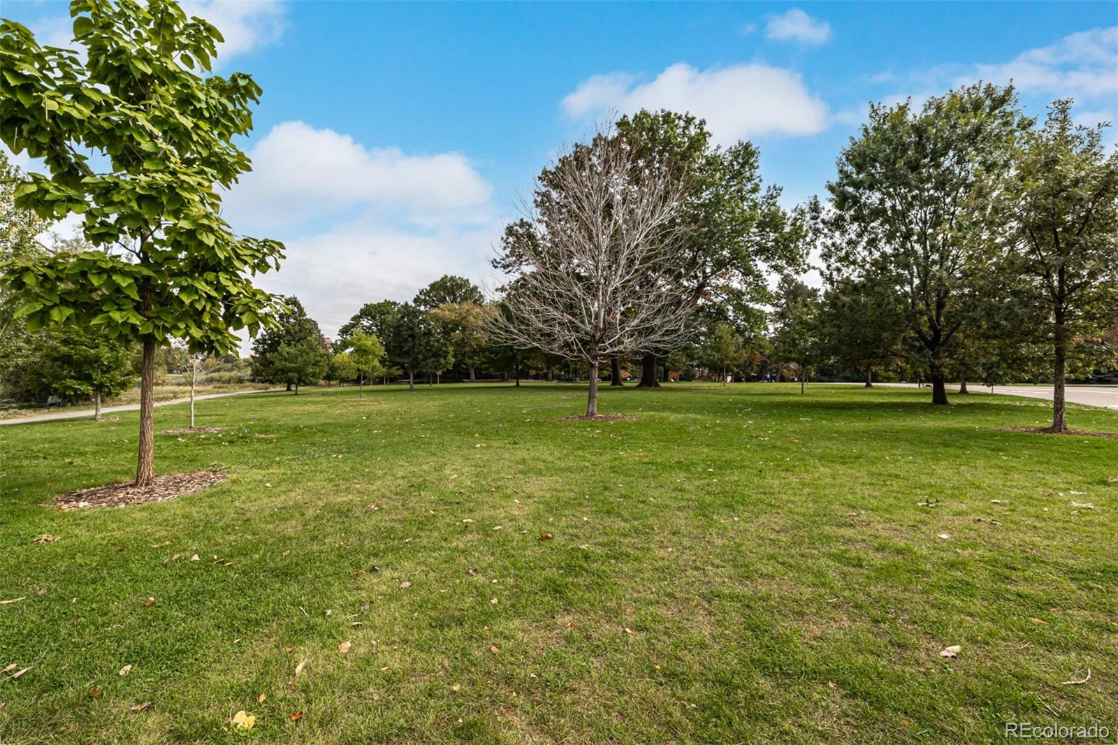 MLS Image #46 for 1313 s clarkson street 305,denver, Colorado