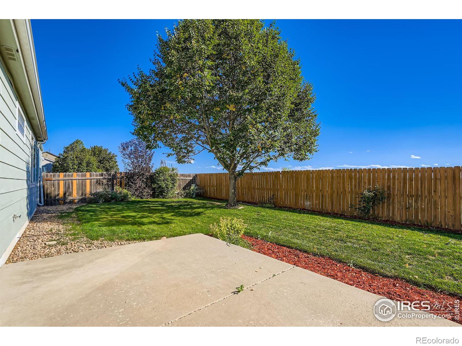 MLS Image #21 for 410  elizabeth street,dacono, Colorado