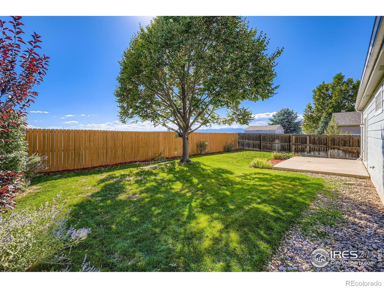 MLS Image #22 for 410  elizabeth street,dacono, Colorado