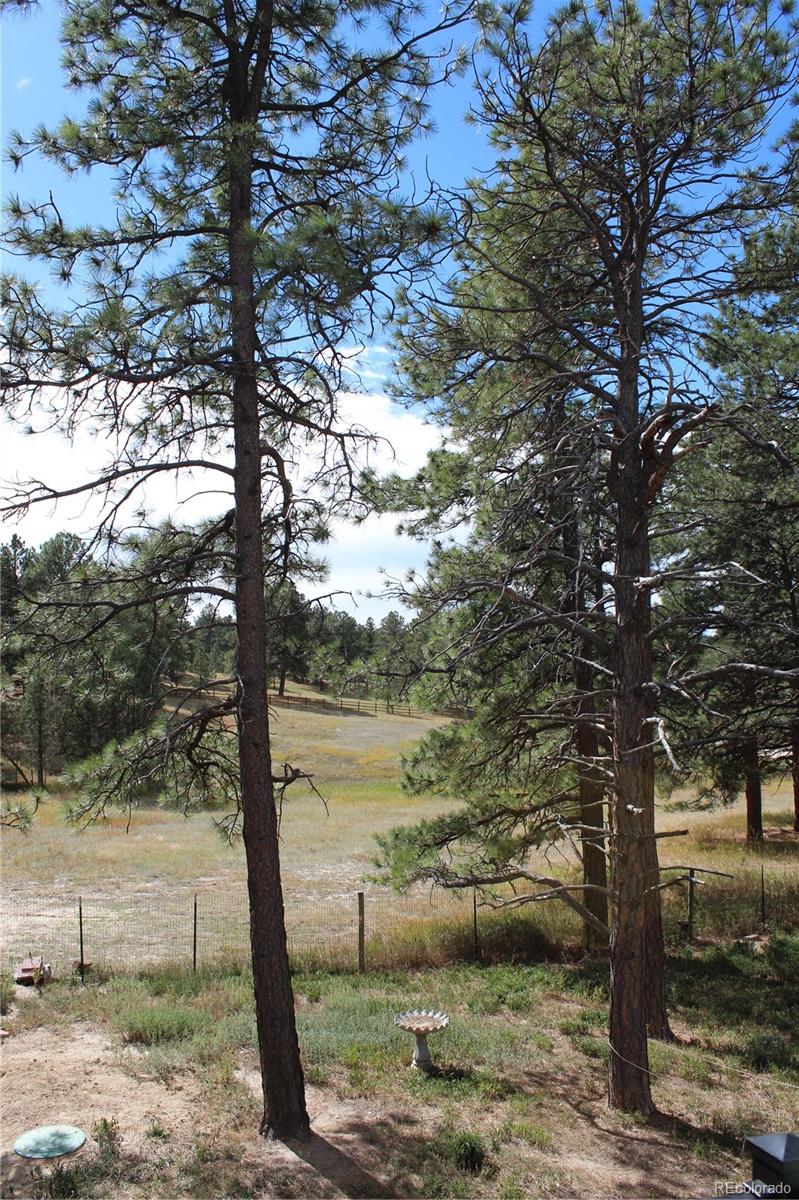 MLS Image #29 for 37622  sable ridge road,elizabeth, Colorado