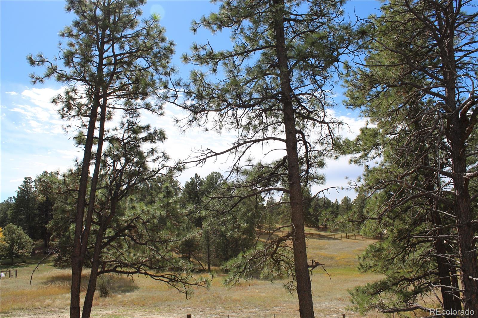 MLS Image #30 for 37622  sable ridge road,elizabeth, Colorado