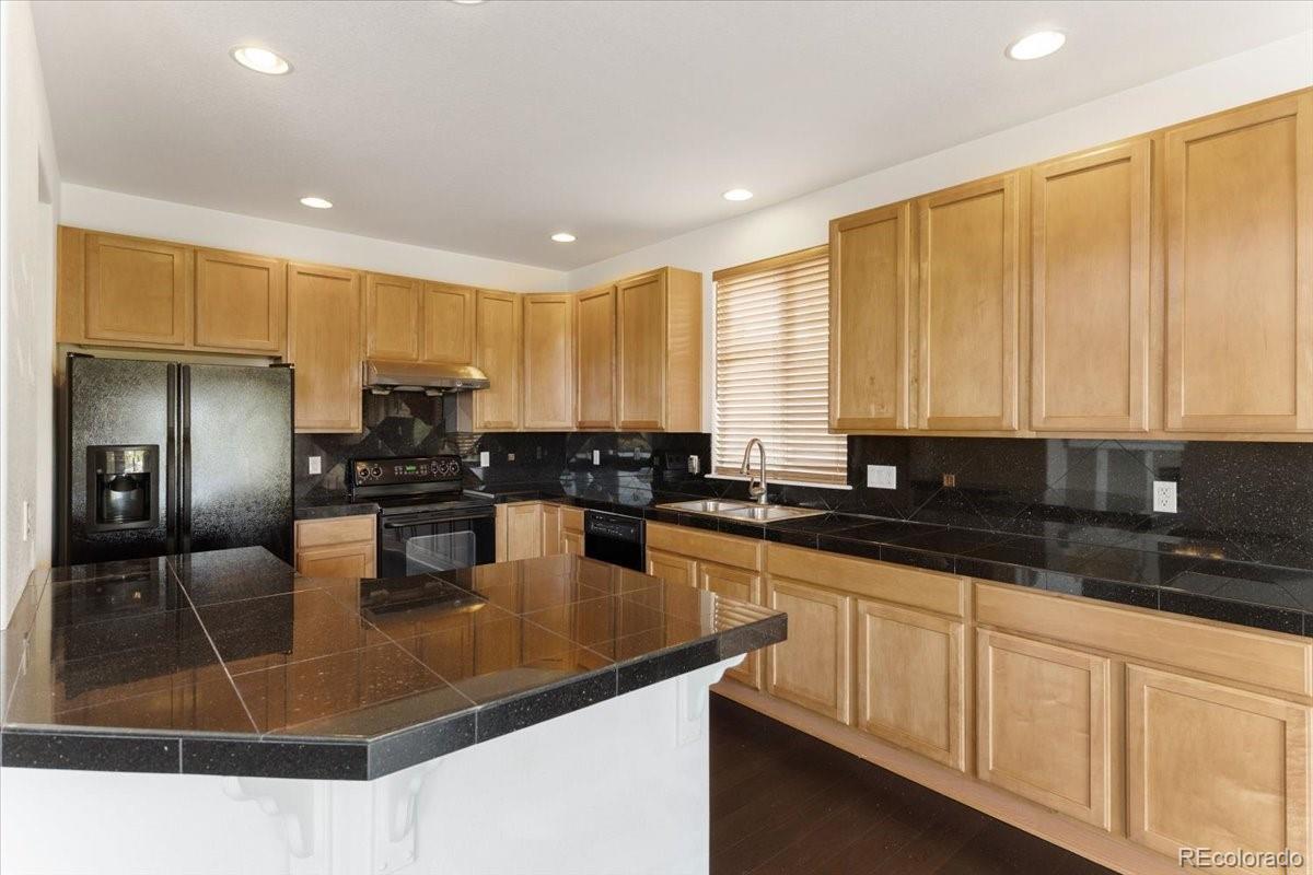 MLS Image #13 for 10832  hickory ridge lane,highlands ranch, Colorado