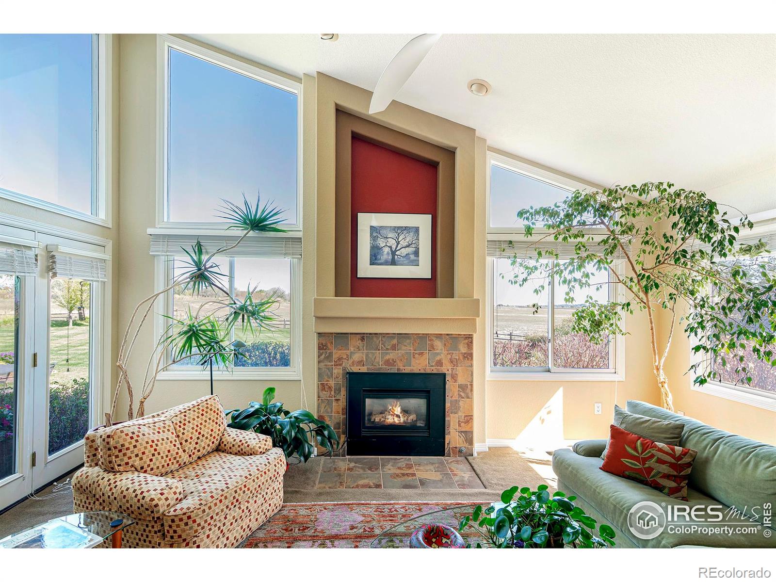MLS Image #15 for 6798  snead court,longmont, Colorado