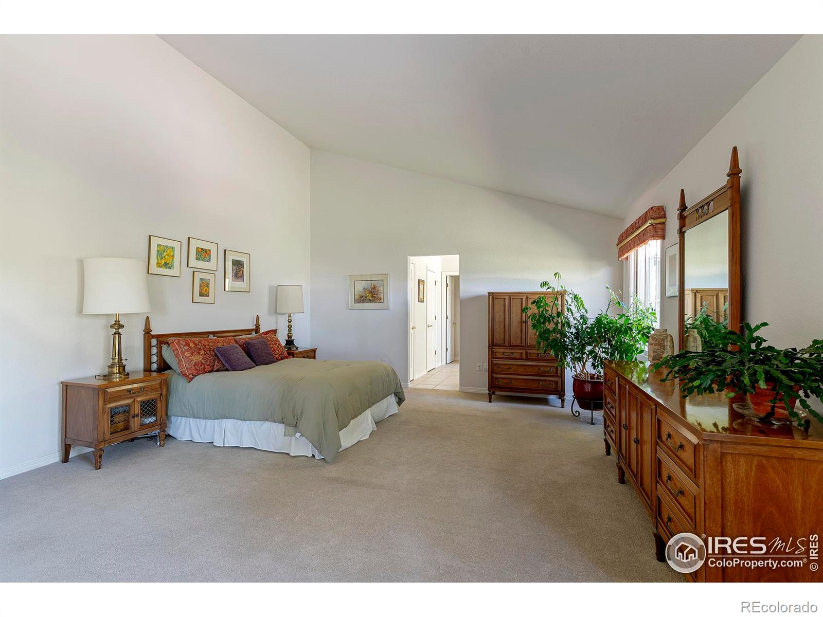 MLS Image #16 for 6798  snead court,longmont, Colorado