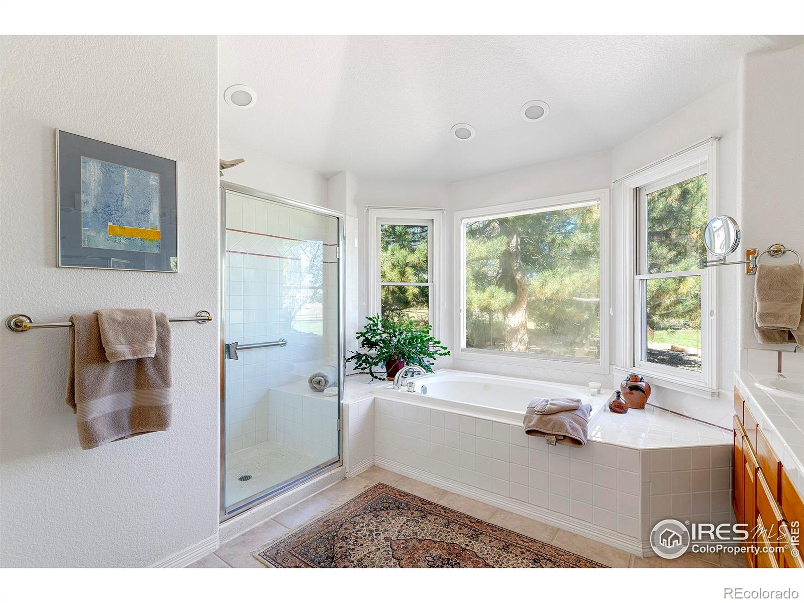 MLS Image #18 for 6798  snead court,longmont, Colorado