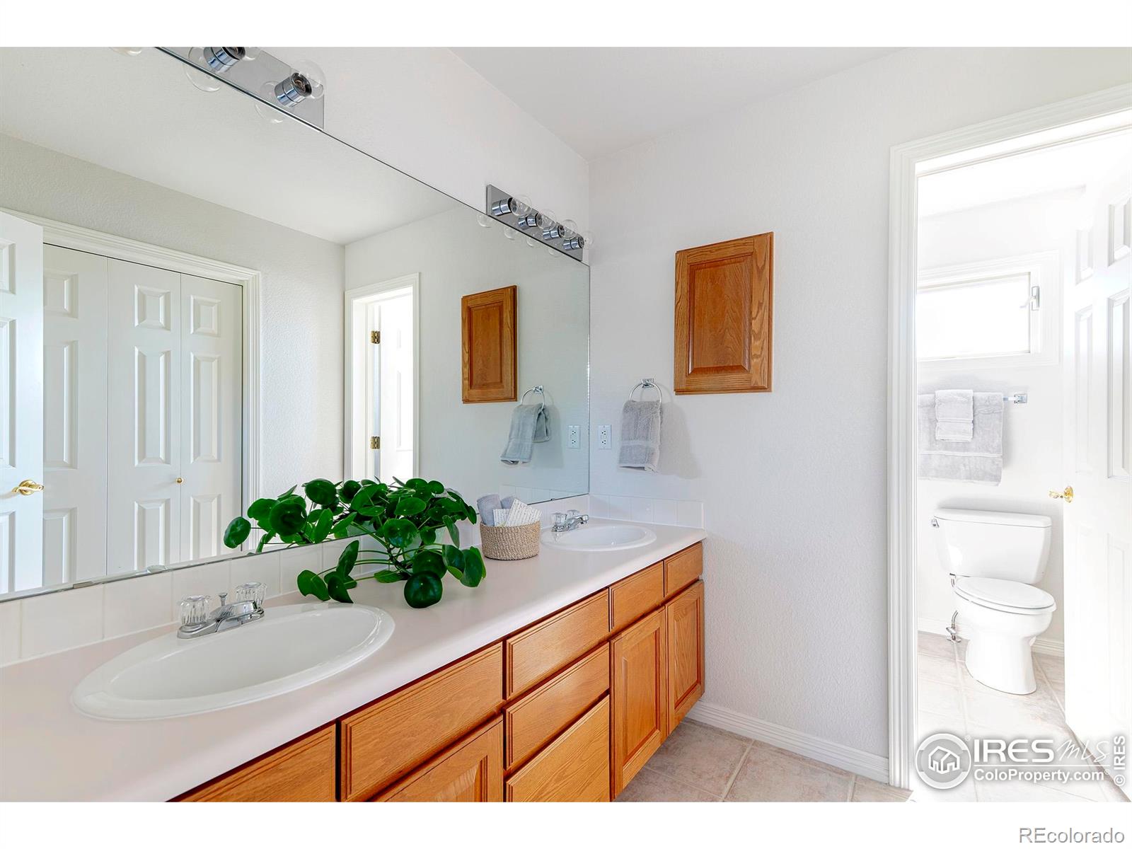 MLS Image #29 for 6798  snead court,longmont, Colorado
