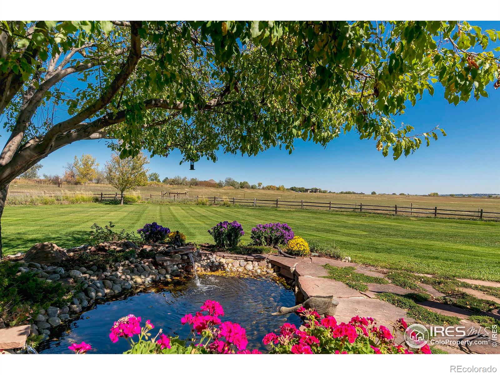 MLS Image #33 for 6798  snead court,longmont, Colorado