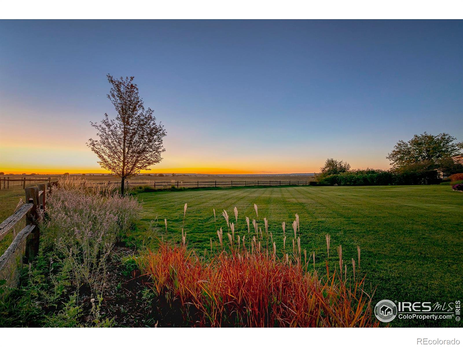 MLS Image #36 for 6798  snead court,longmont, Colorado