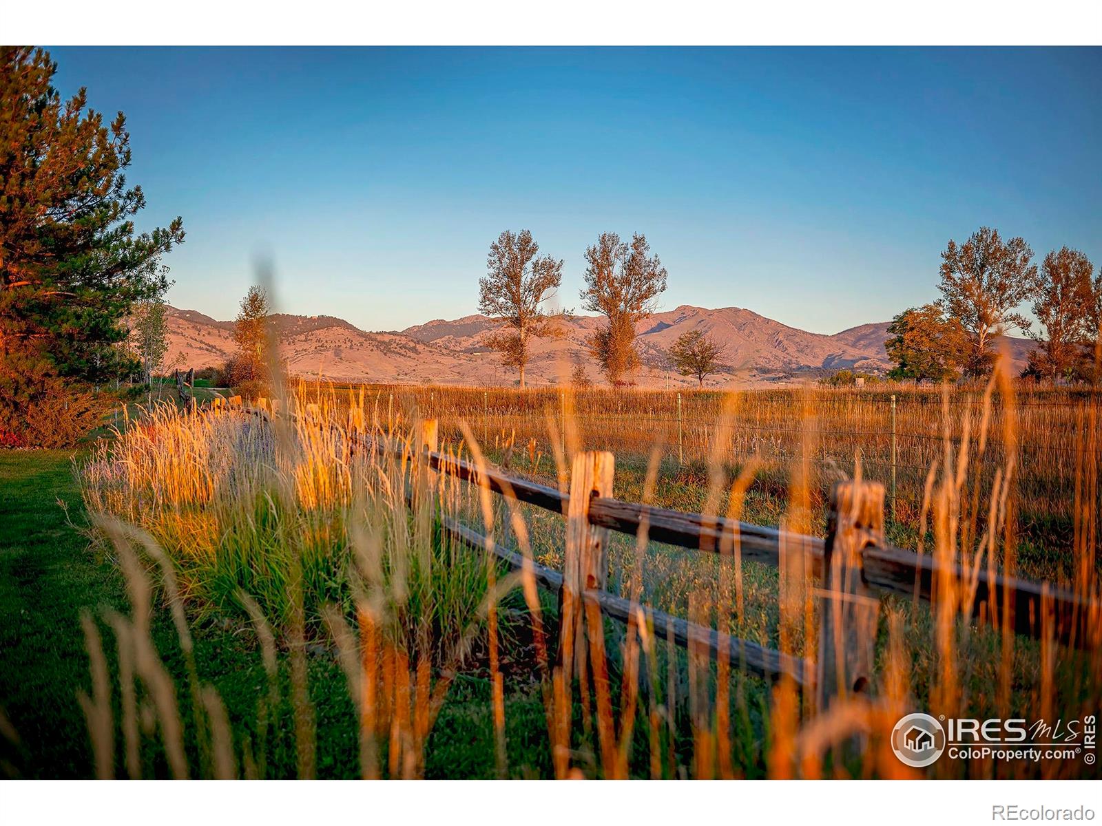 MLS Image #37 for 6798  snead court,longmont, Colorado