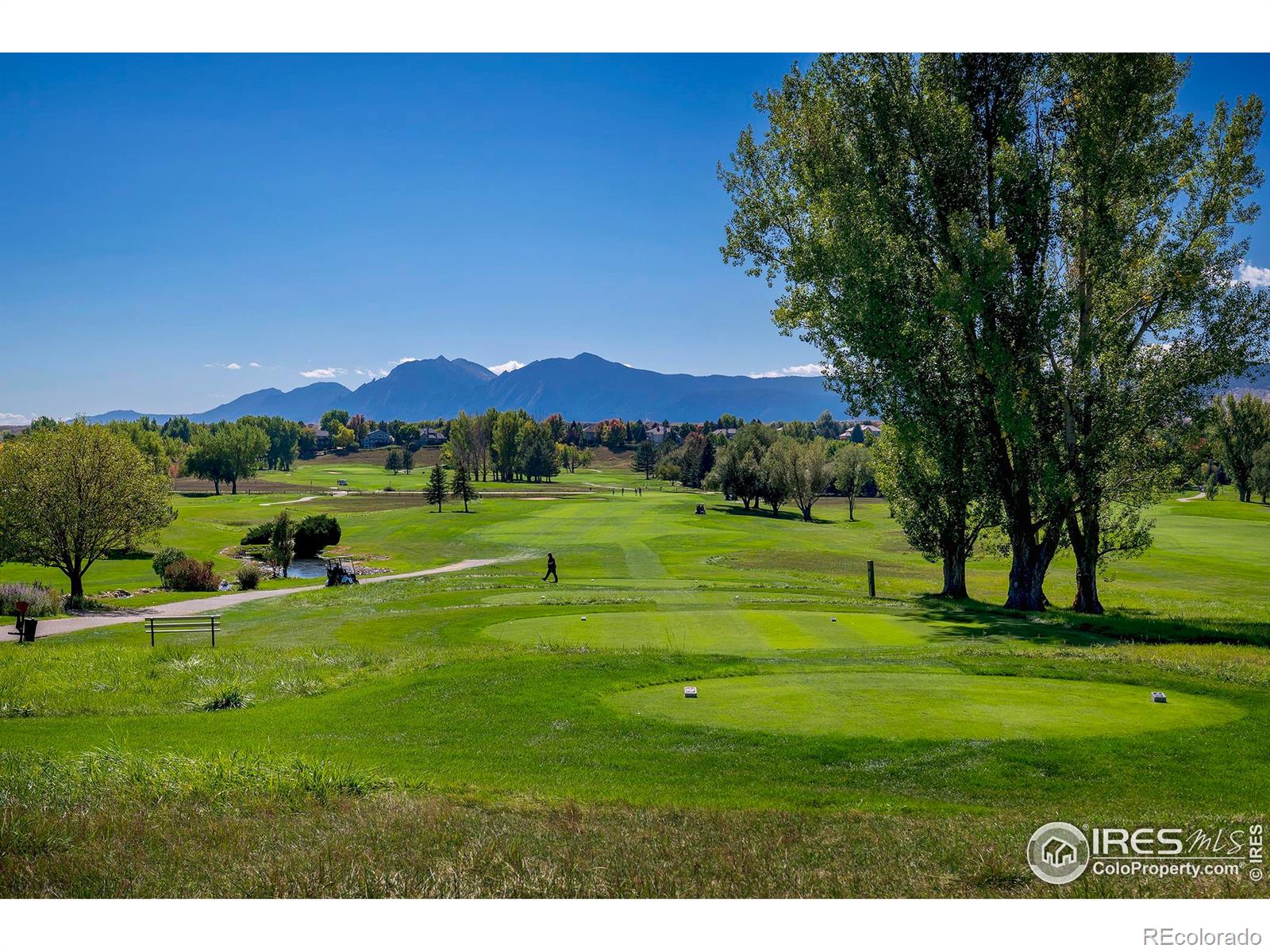 MLS Image #41 for 6798  snead court,longmont, Colorado