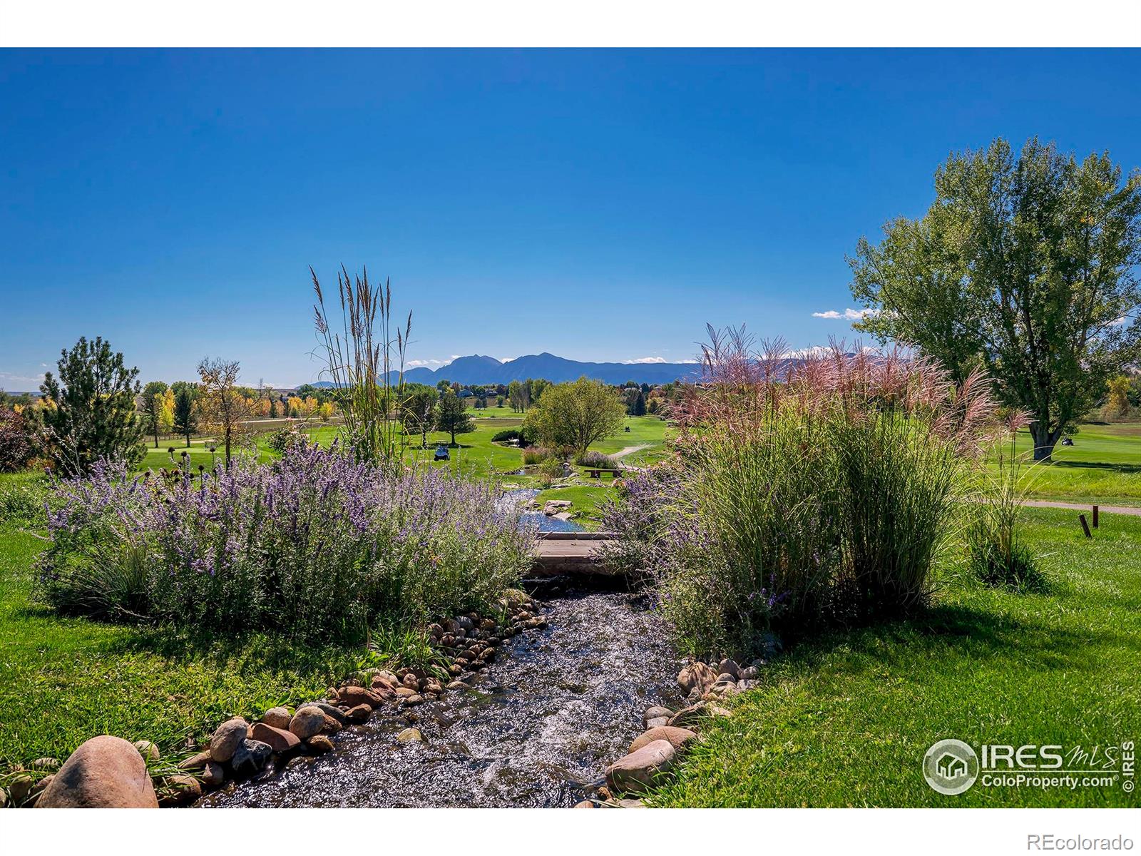 MLS Image #42 for 6798  snead court,longmont, Colorado