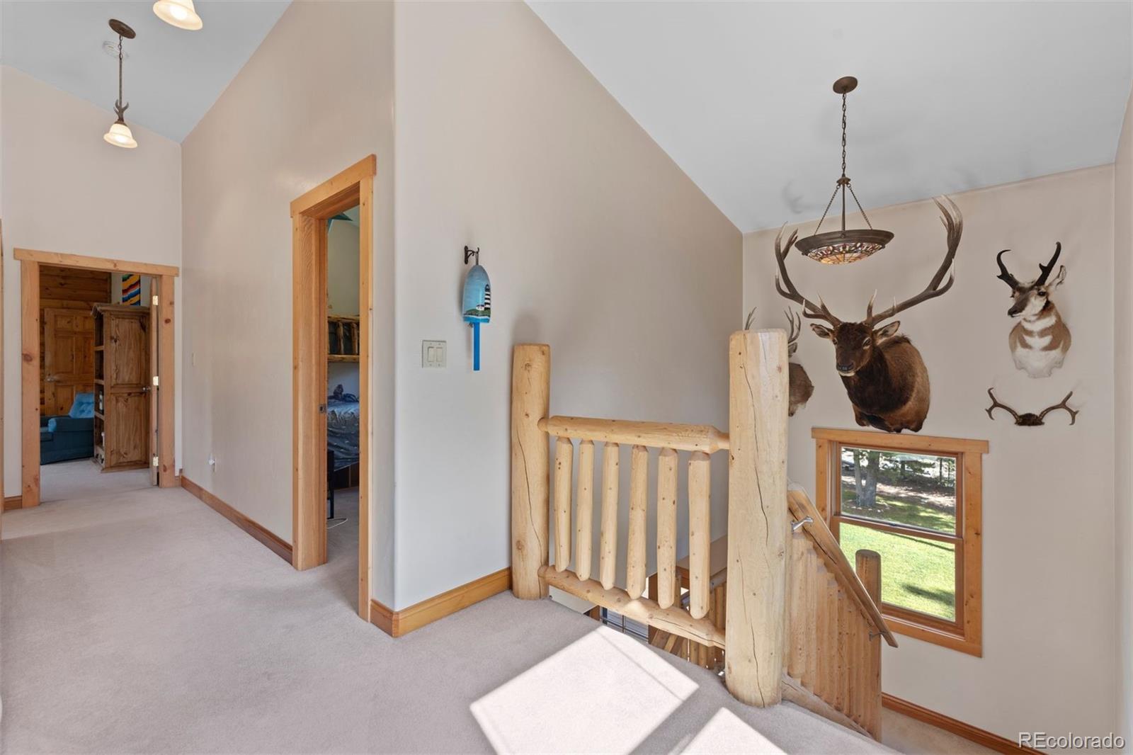 MLS Image #20 for 64  baby doe drive,leadville, Colorado