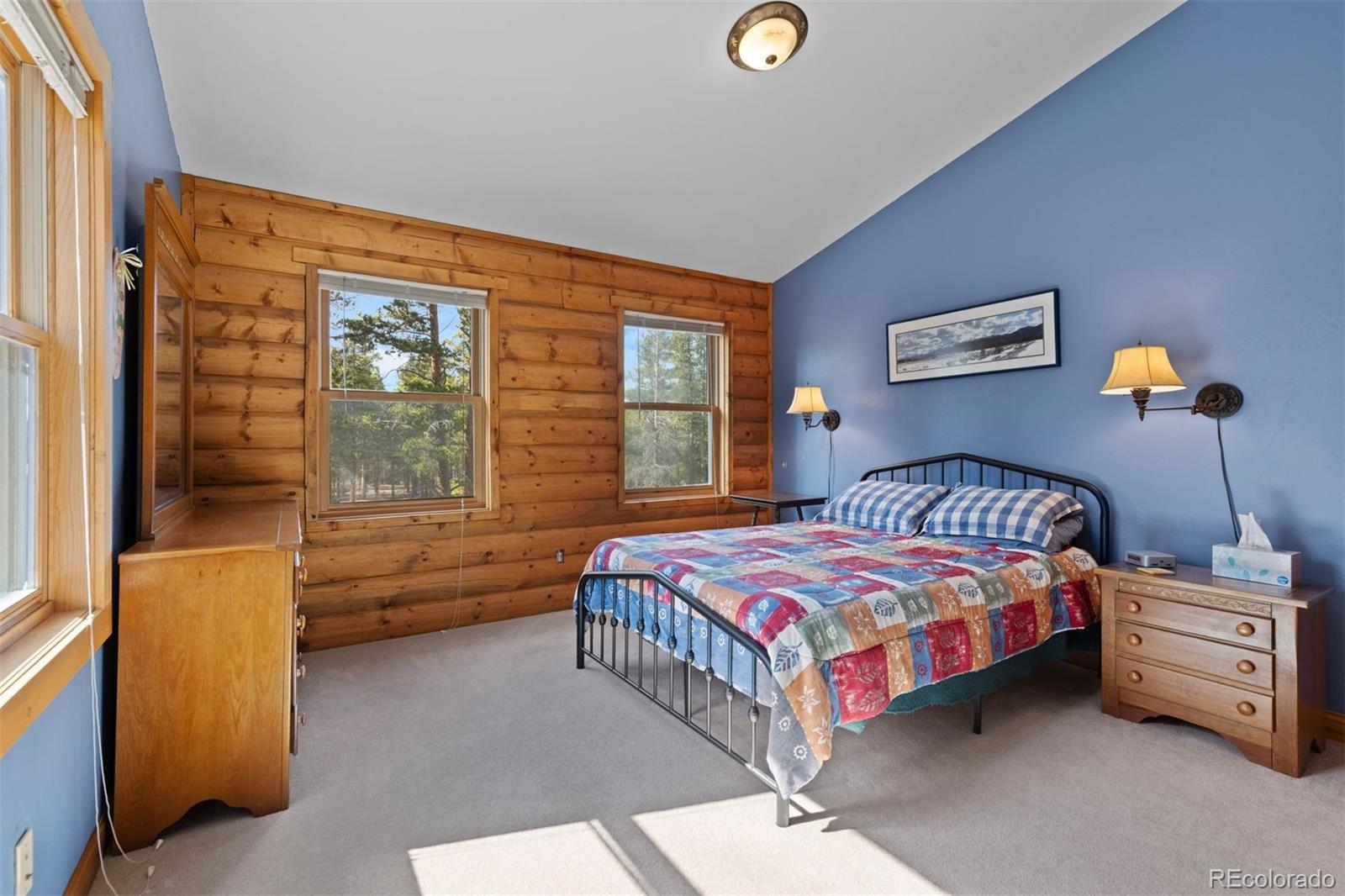 MLS Image #21 for 64  baby doe drive,leadville, Colorado