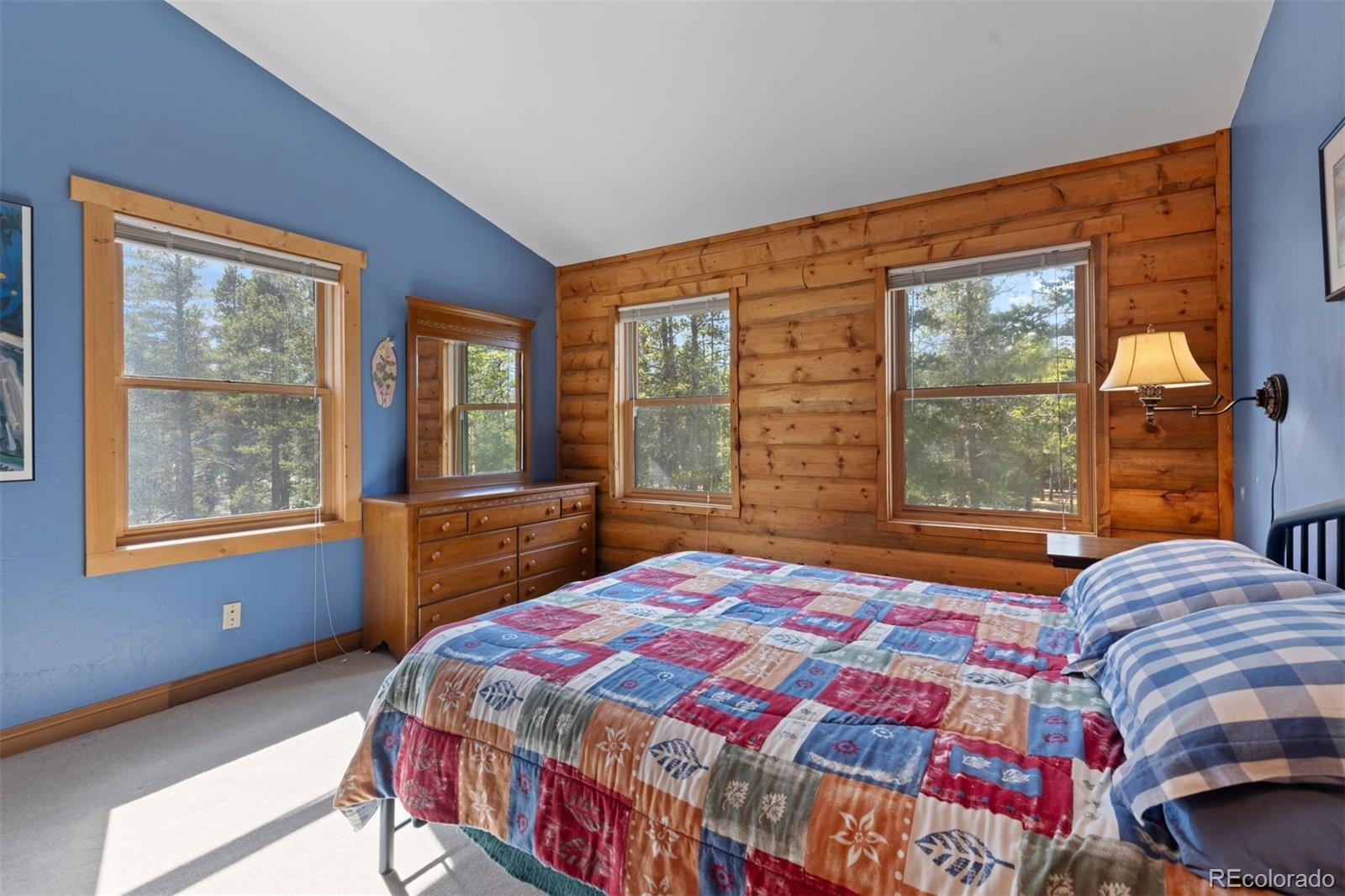 MLS Image #22 for 64  baby doe drive,leadville, Colorado