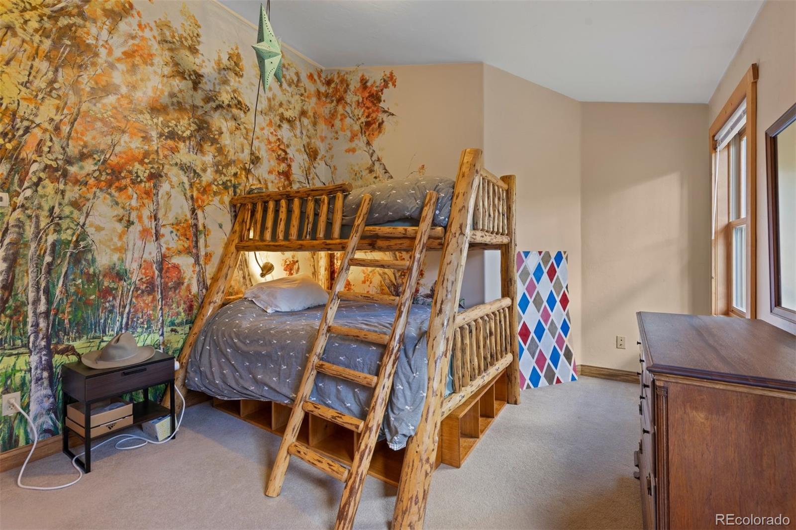 MLS Image #25 for 64  baby doe drive,leadville, Colorado