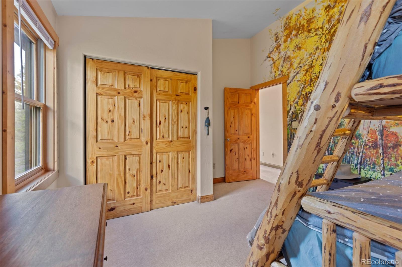 MLS Image #26 for 64  baby doe drive,leadville, Colorado