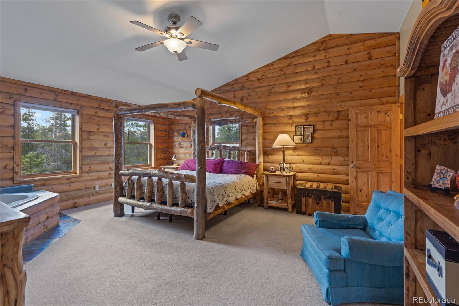 MLS Image #29 for 64  baby doe drive,leadville, Colorado