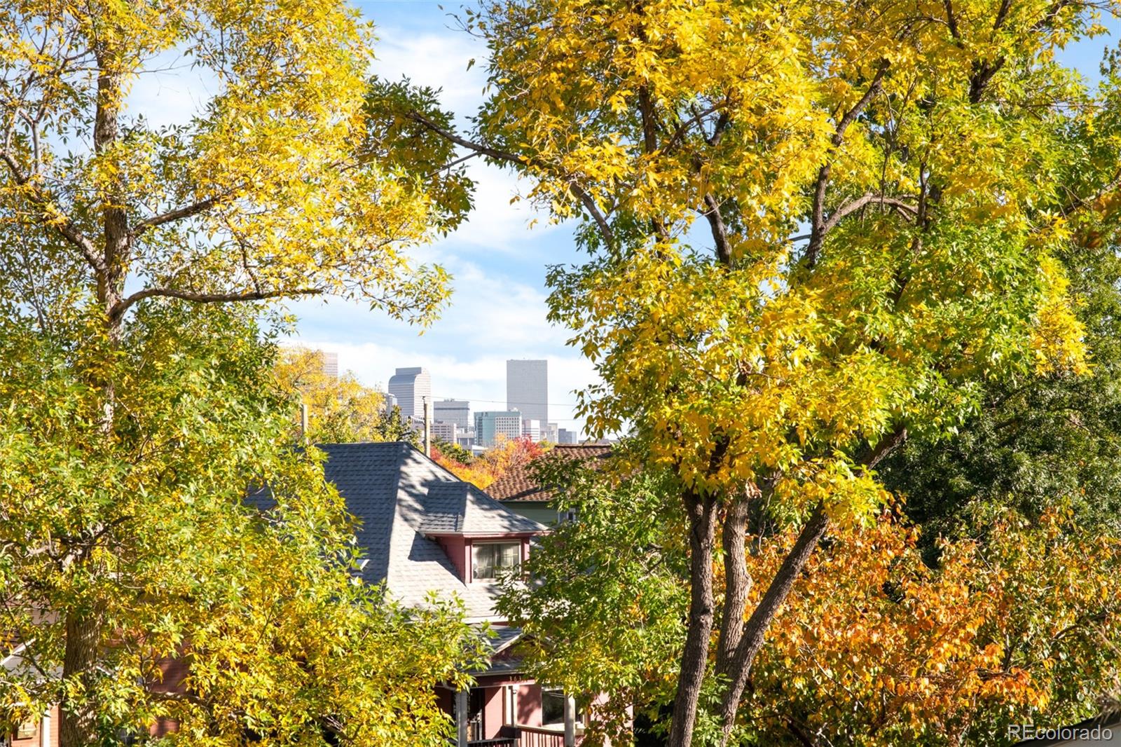 MLS Image #31 for 3655  eliot street,denver, Colorado