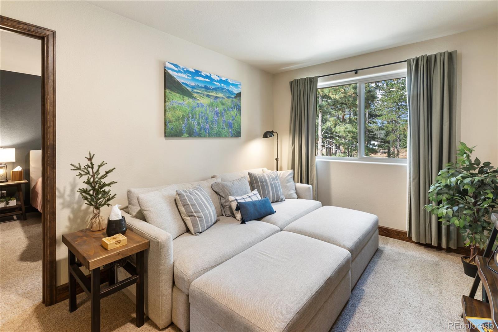 MLS Image #28 for 1322  firestone drive,woodland park, Colorado
