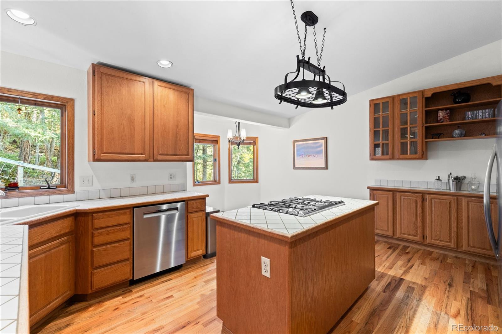 MLS Image #13 for 27882  bonanza drive,evergreen, Colorado