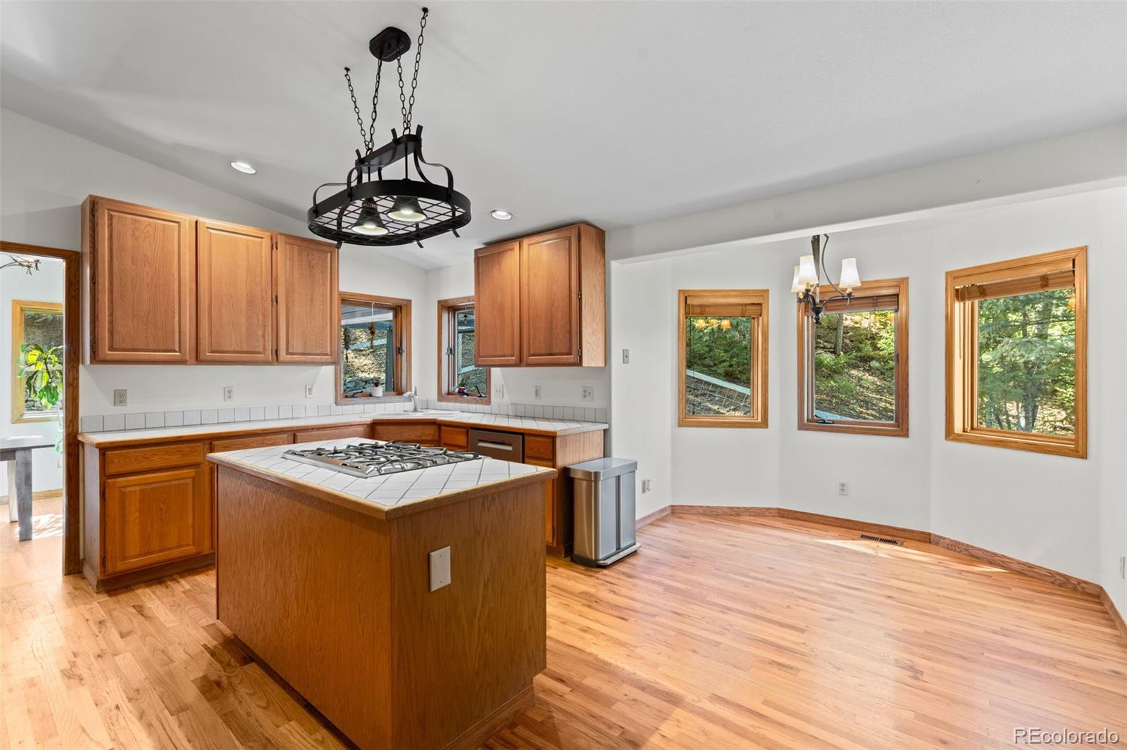MLS Image #14 for 27882  bonanza drive,evergreen, Colorado
