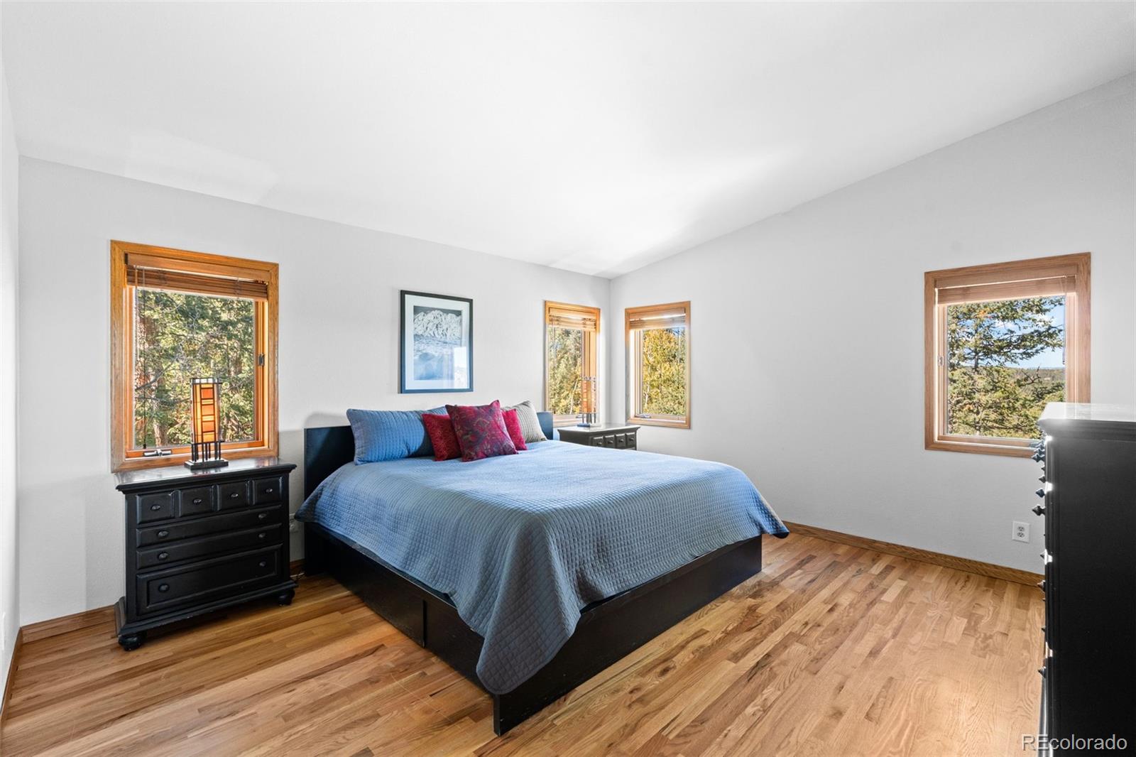 MLS Image #15 for 27882  bonanza drive,evergreen, Colorado