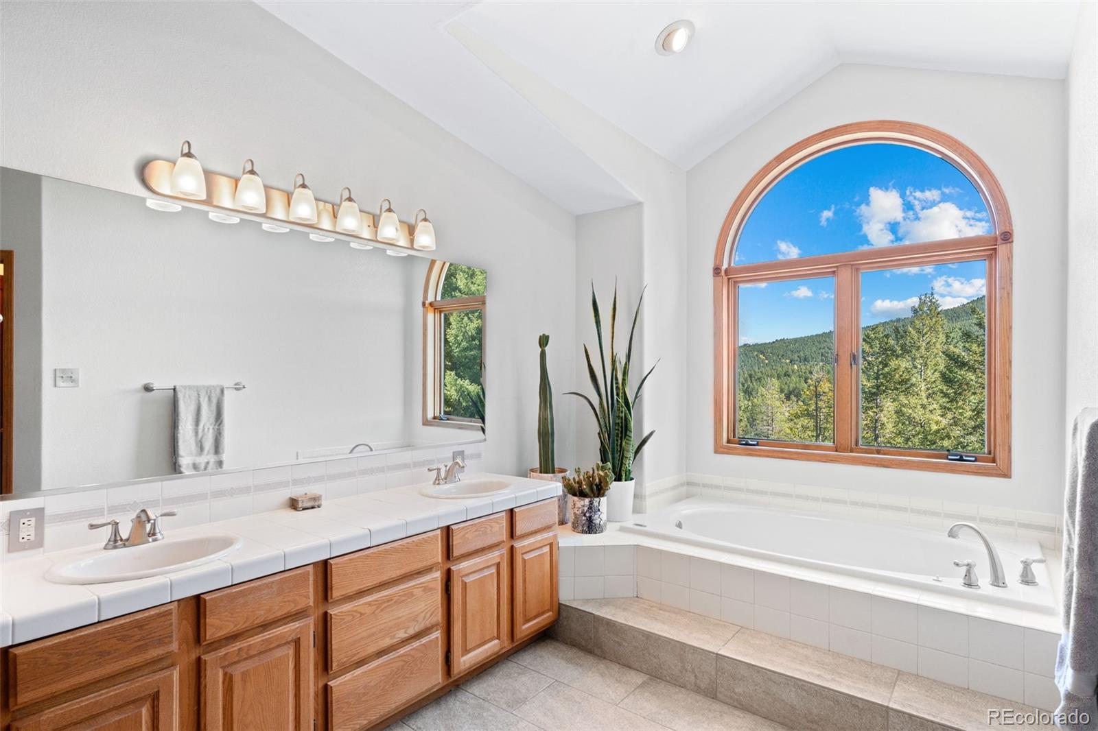 MLS Image #16 for 27882  bonanza drive,evergreen, Colorado
