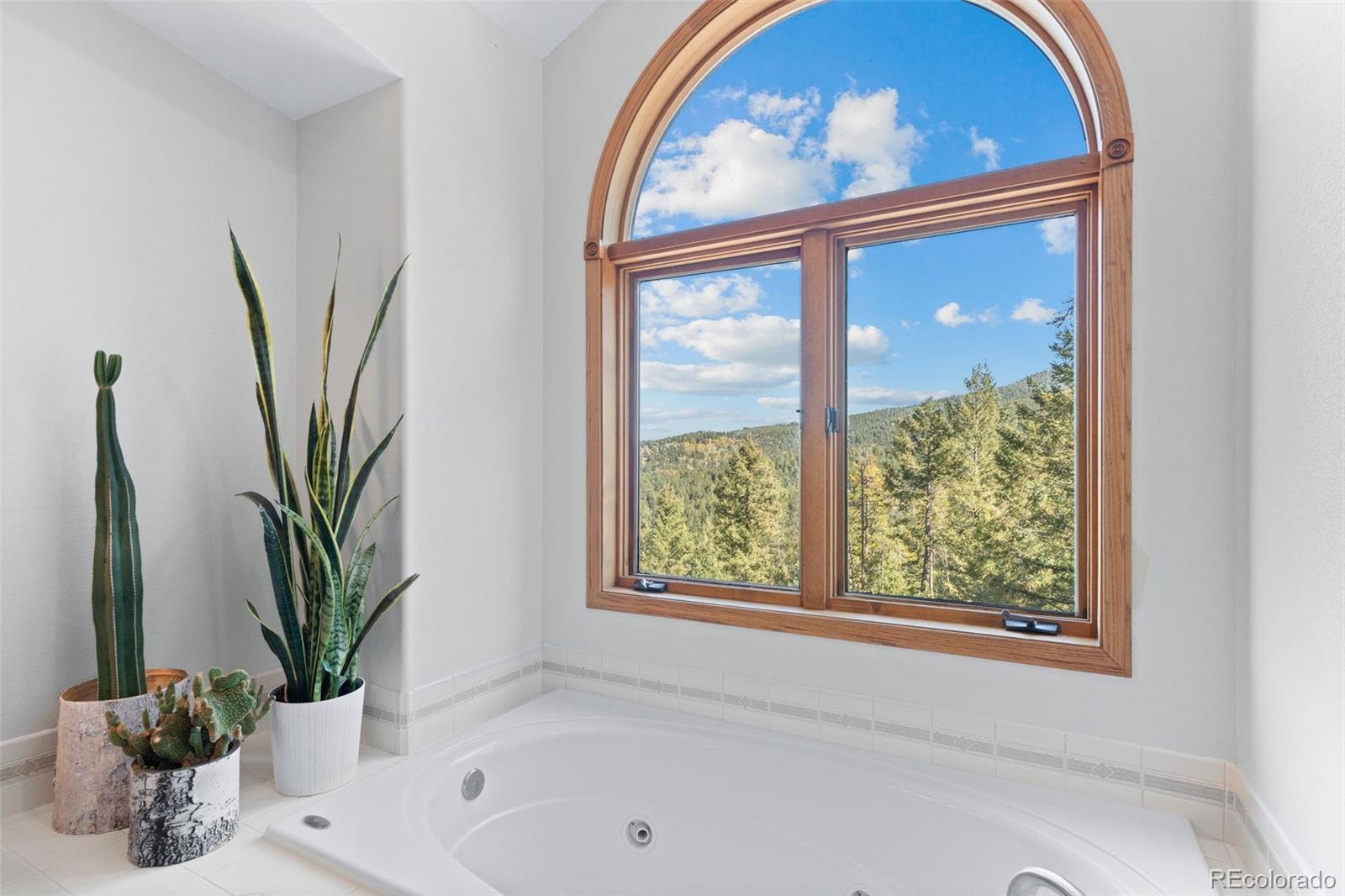 MLS Image #17 for 27882  bonanza drive,evergreen, Colorado