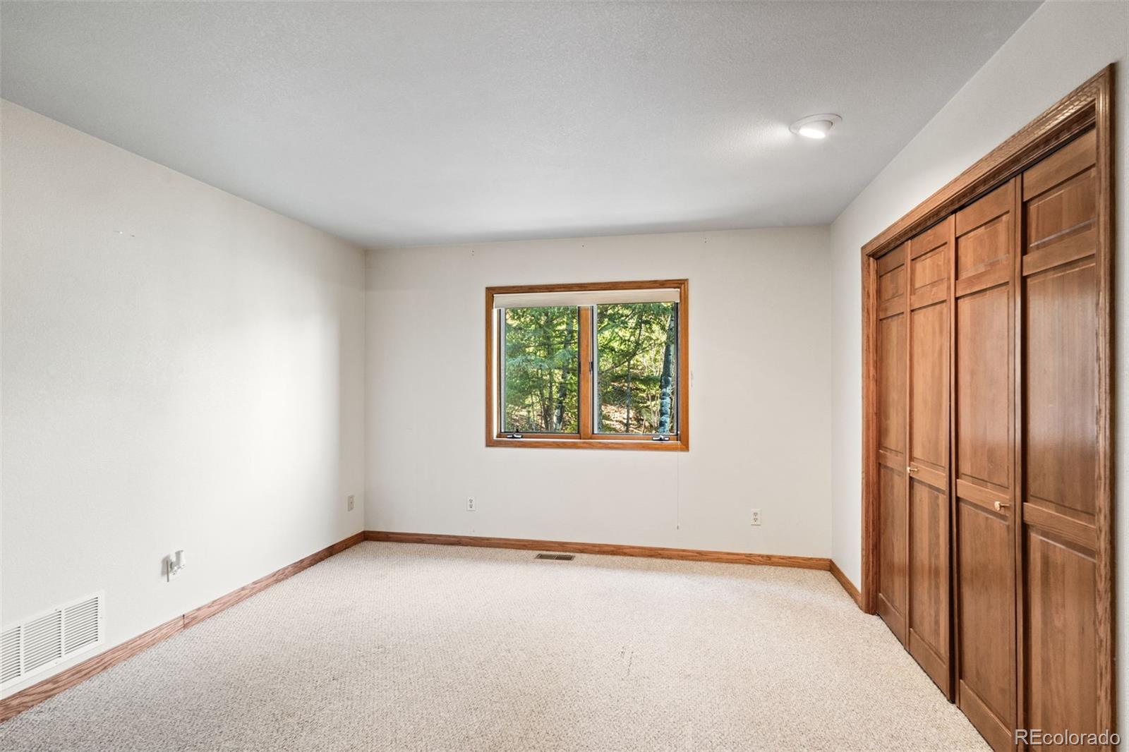 MLS Image #19 for 27882  bonanza drive,evergreen, Colorado