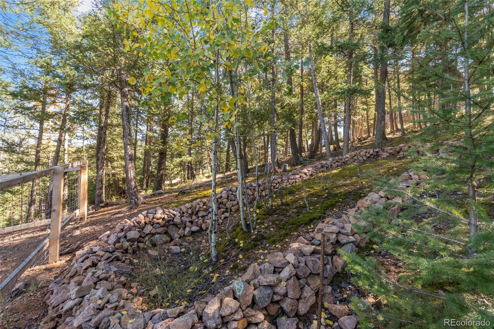 MLS Image #41 for 27882  bonanza drive,evergreen, Colorado