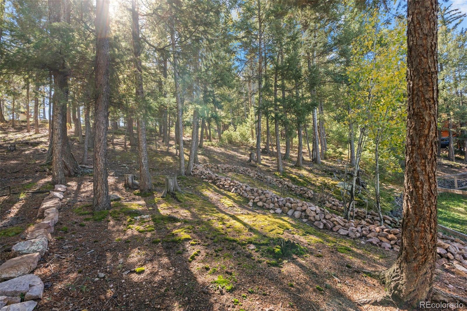 MLS Image #42 for 27882  bonanza drive,evergreen, Colorado