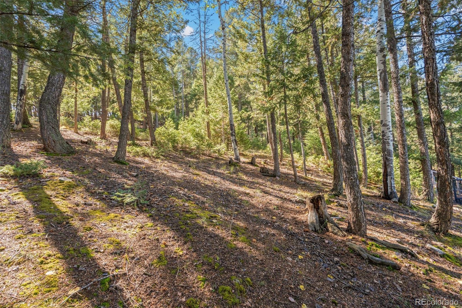 MLS Image #43 for 27882  bonanza drive,evergreen, Colorado