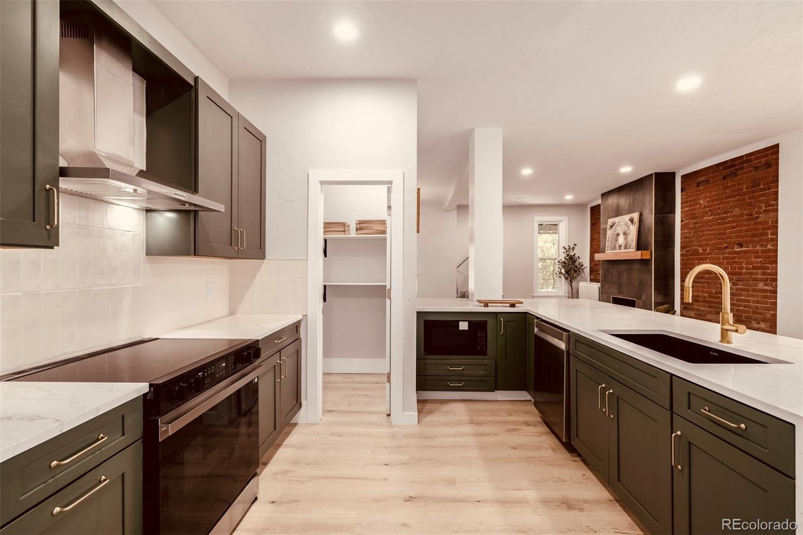 MLS Image #11 for 1111 n corona street,denver, Colorado