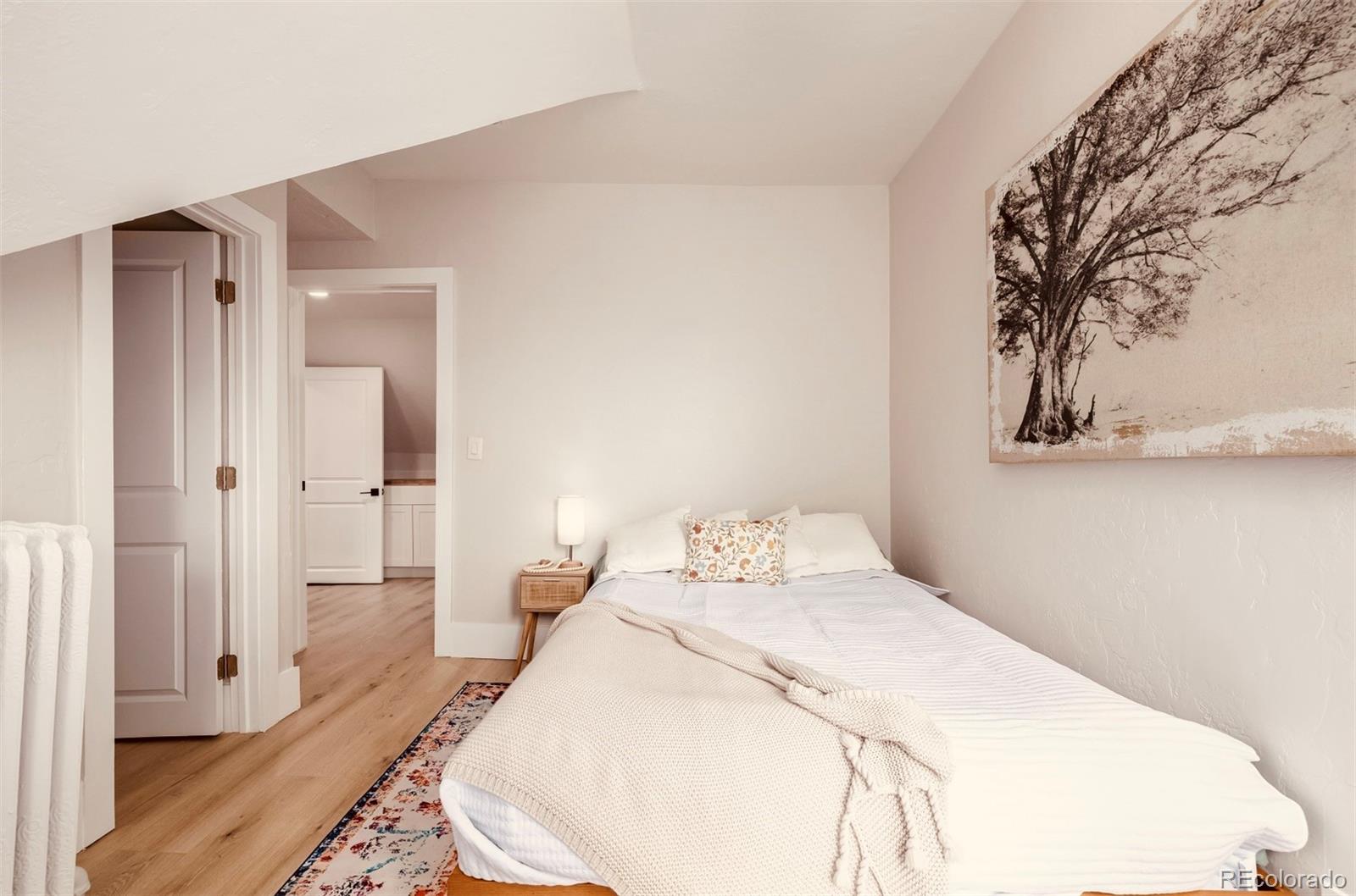 MLS Image #29 for 1111 n corona street,denver, Colorado