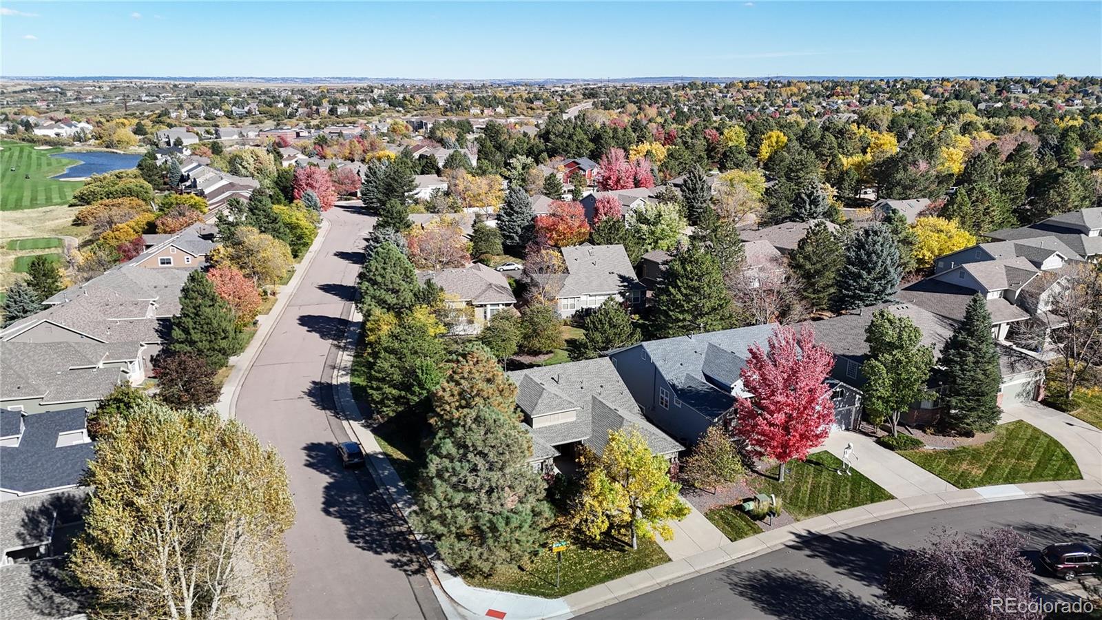 MLS Image #2 for 1006  snow lily court,castle pines, Colorado