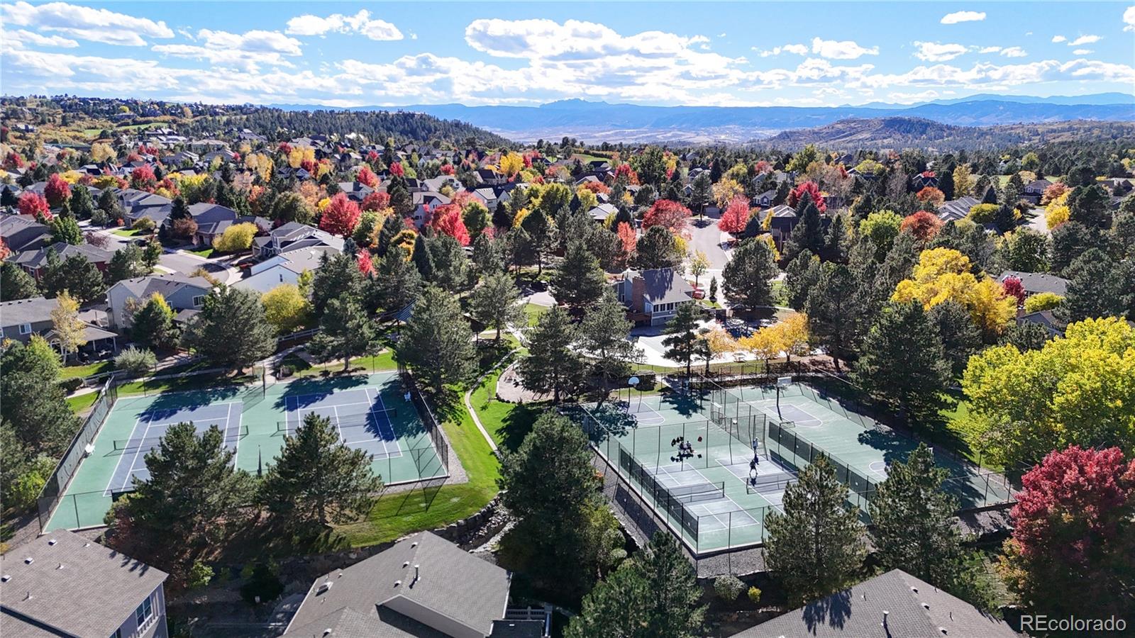 MLS Image #37 for 1006  snow lily court,castle pines, Colorado