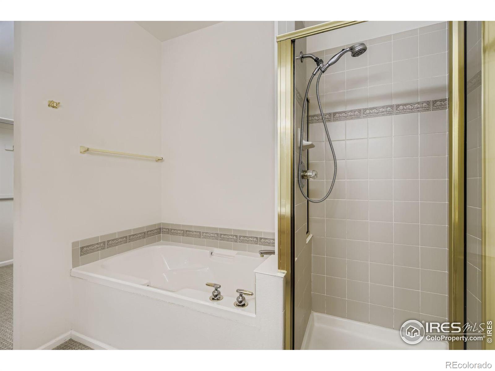 MLS Image #11 for 435  clubhouse court,loveland, Colorado