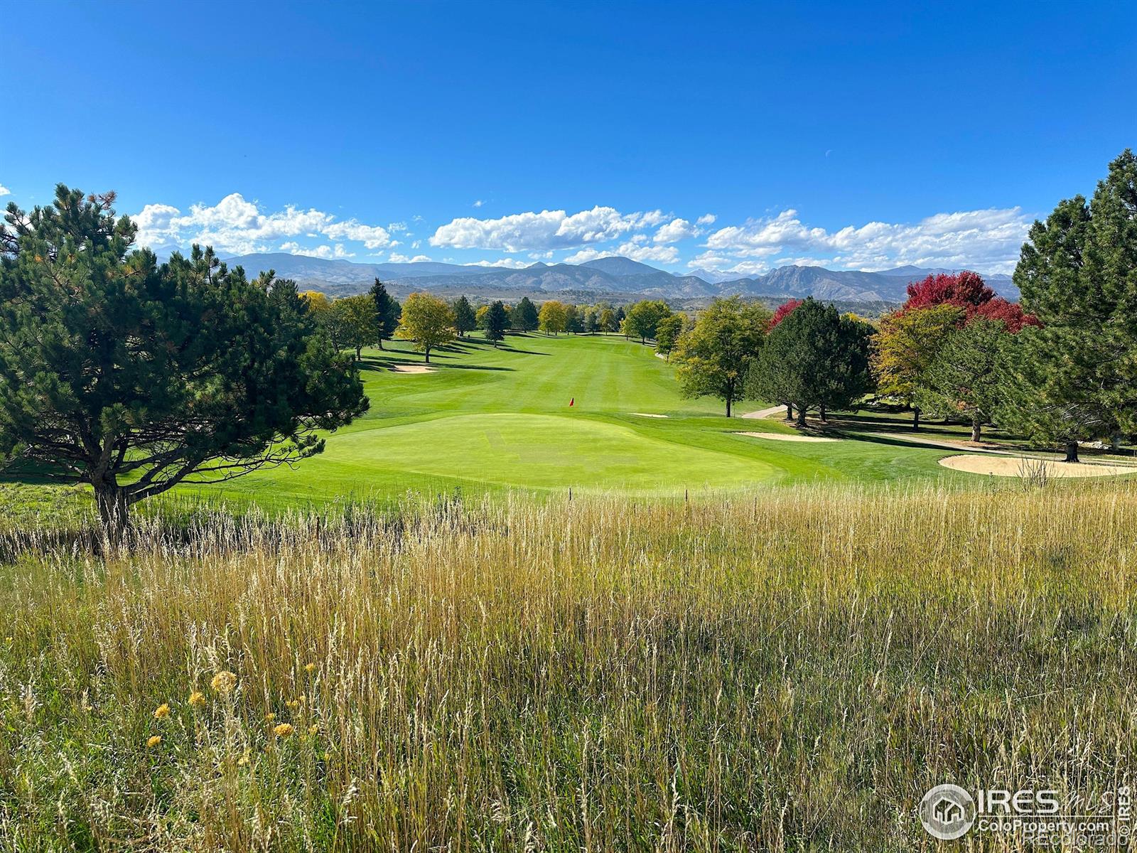 MLS Image #26 for 435  clubhouse court,loveland, Colorado