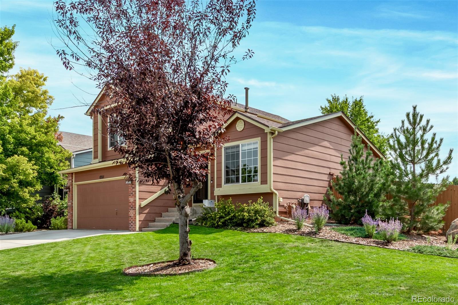 MLS Image #42 for 4864  parsons way,castle rock, Colorado