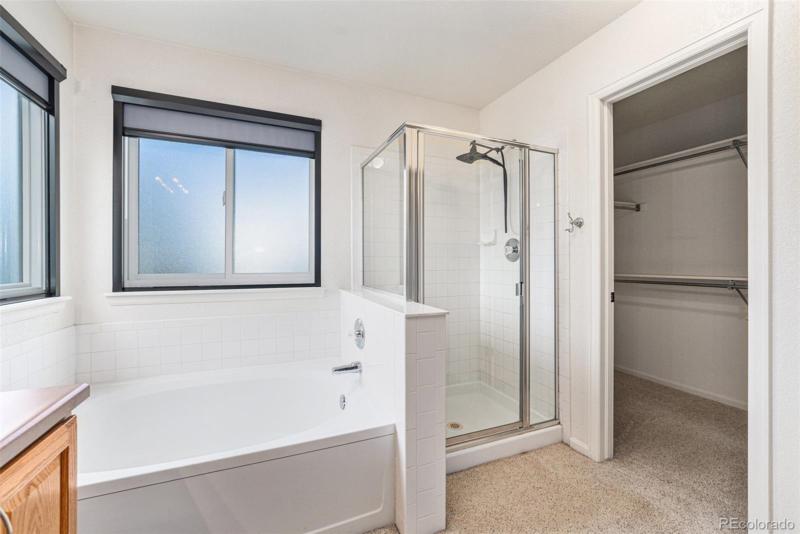 MLS Image #20 for 5583  helena street,denver, Colorado
