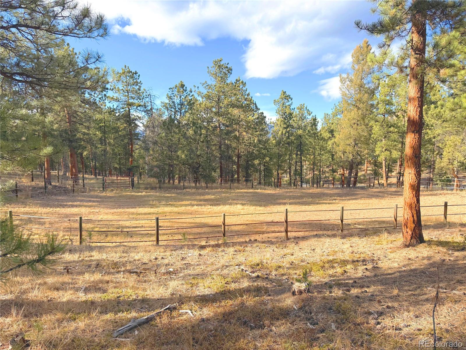 MLS Image #48 for 348  nova road,pine, Colorado