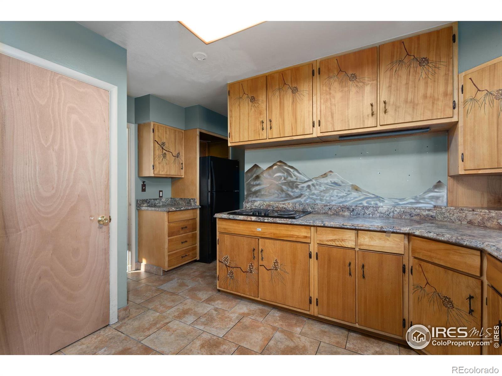 MLS Image #14 for 2500 s college avenue,fort collins, Colorado