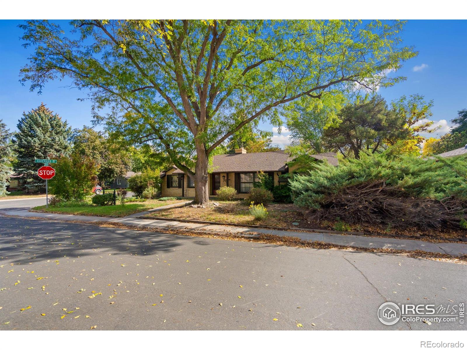 MLS Image #49 for 2500 s college avenue,fort collins, Colorado