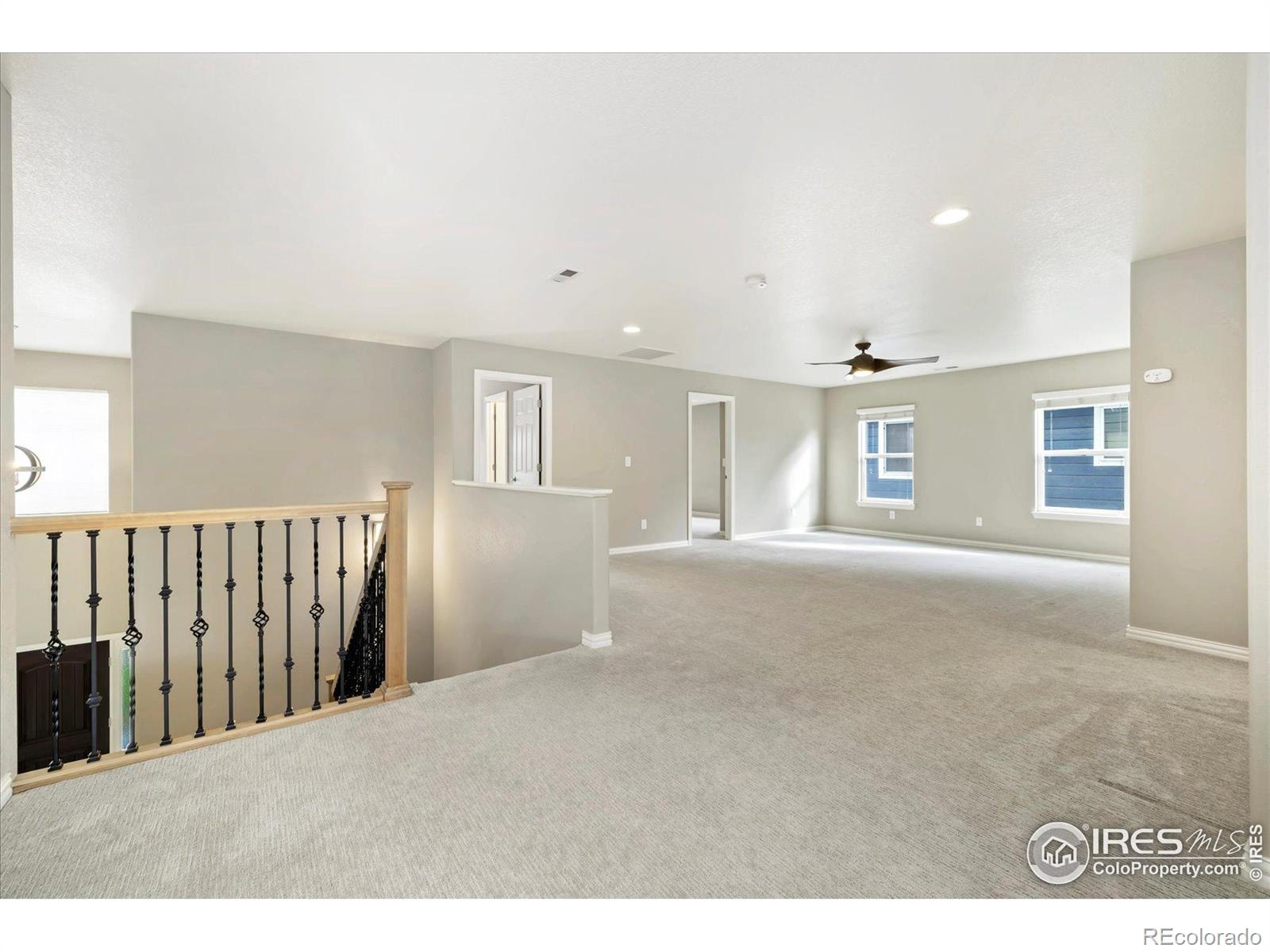 MLS Image #14 for 5801  dressage street,timnath, Colorado