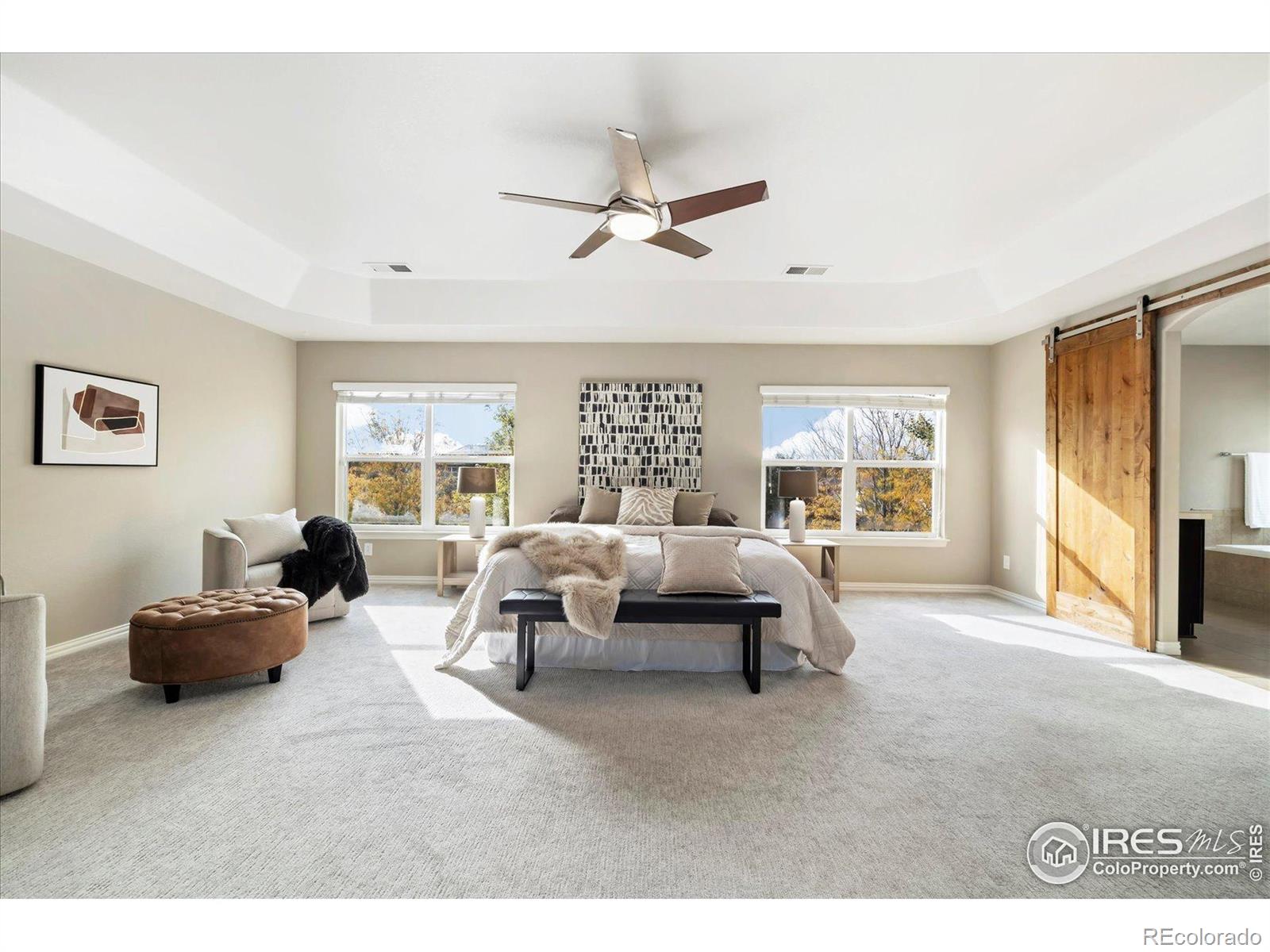 MLS Image #16 for 5801  dressage street,timnath, Colorado