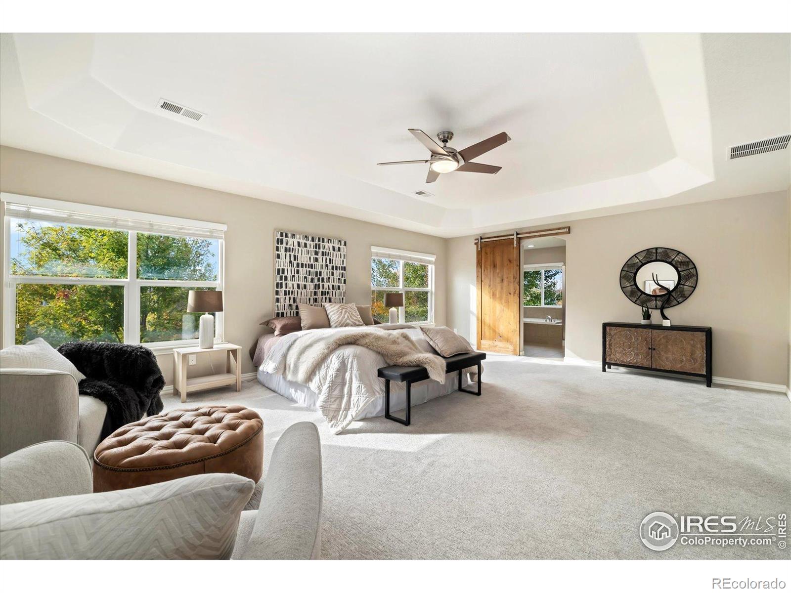 MLS Image #17 for 5801  dressage street,timnath, Colorado