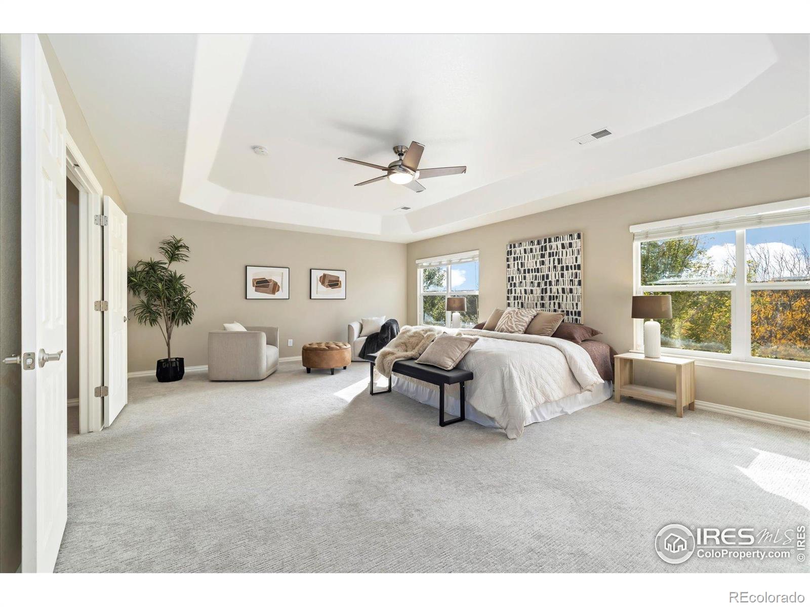 MLS Image #18 for 5801  dressage street,timnath, Colorado