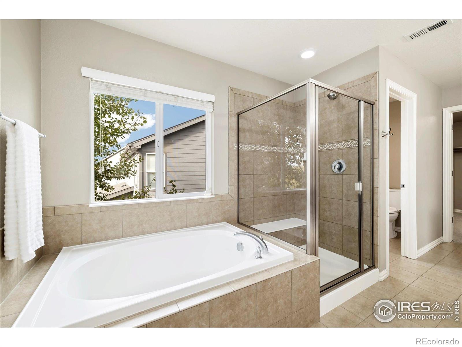 MLS Image #21 for 5801  dressage street,timnath, Colorado