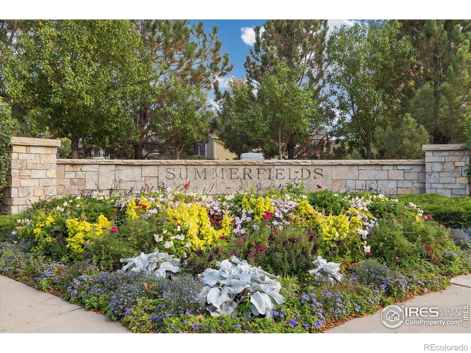 MLS Image #42 for 5801  dressage street,timnath, Colorado